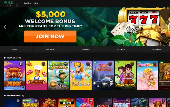 the main user interface with slot games listed at Wild Casino