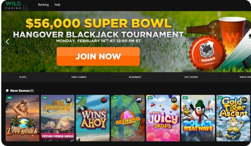 user interface and list of slot games available at Wild Casino gambling site
